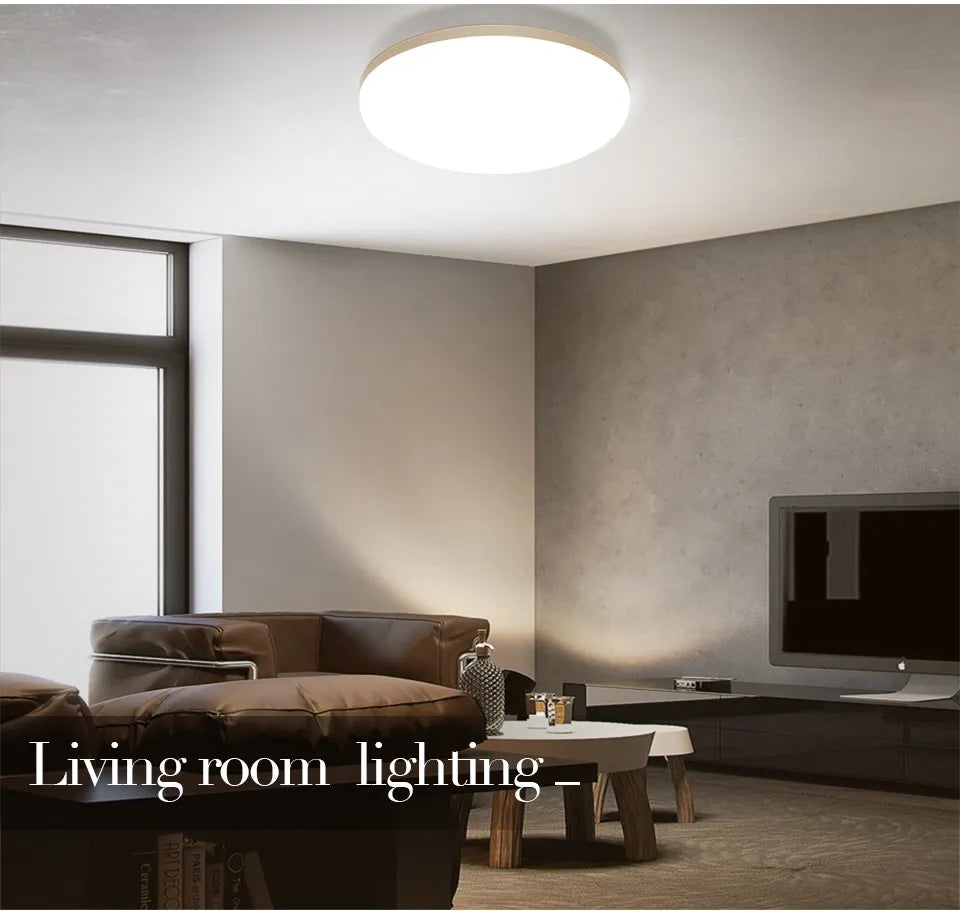 LED Ceiling Lamp in Various Wattages
