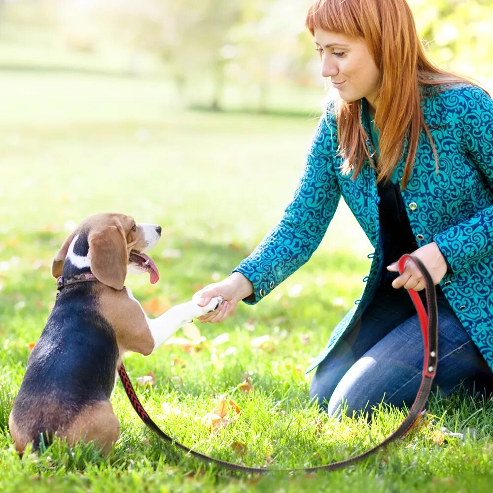 Engraved Leather Dog Collar Braided