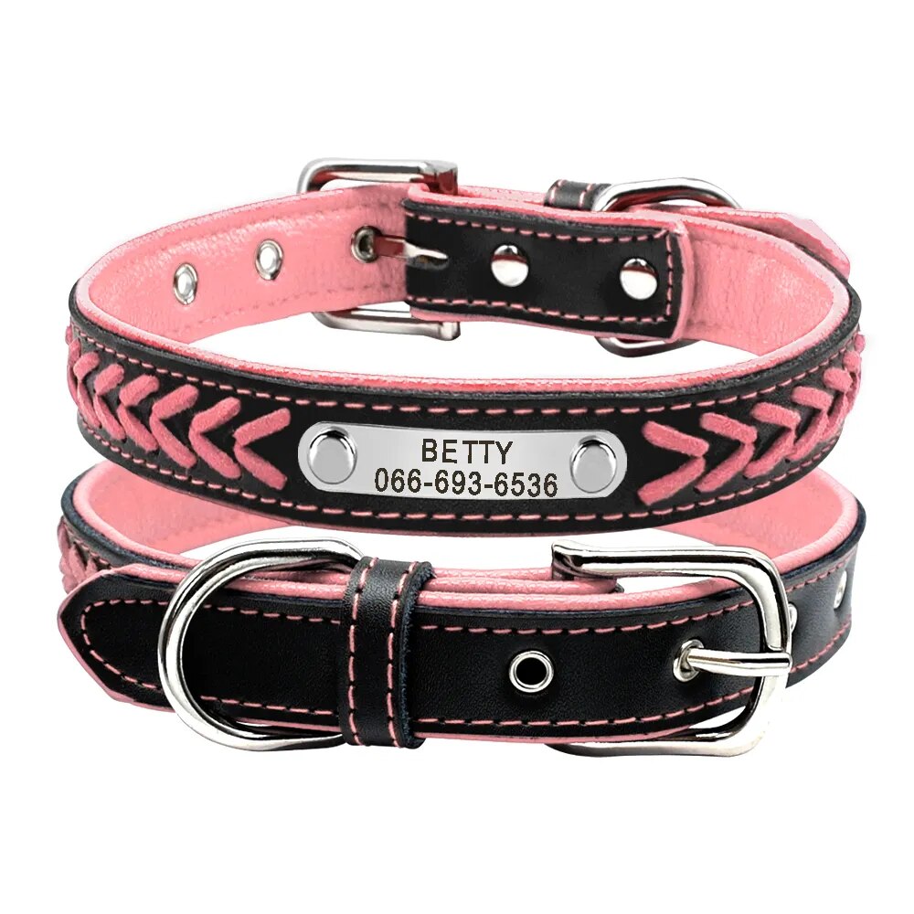 Engraved Leather Dog Collar Braided