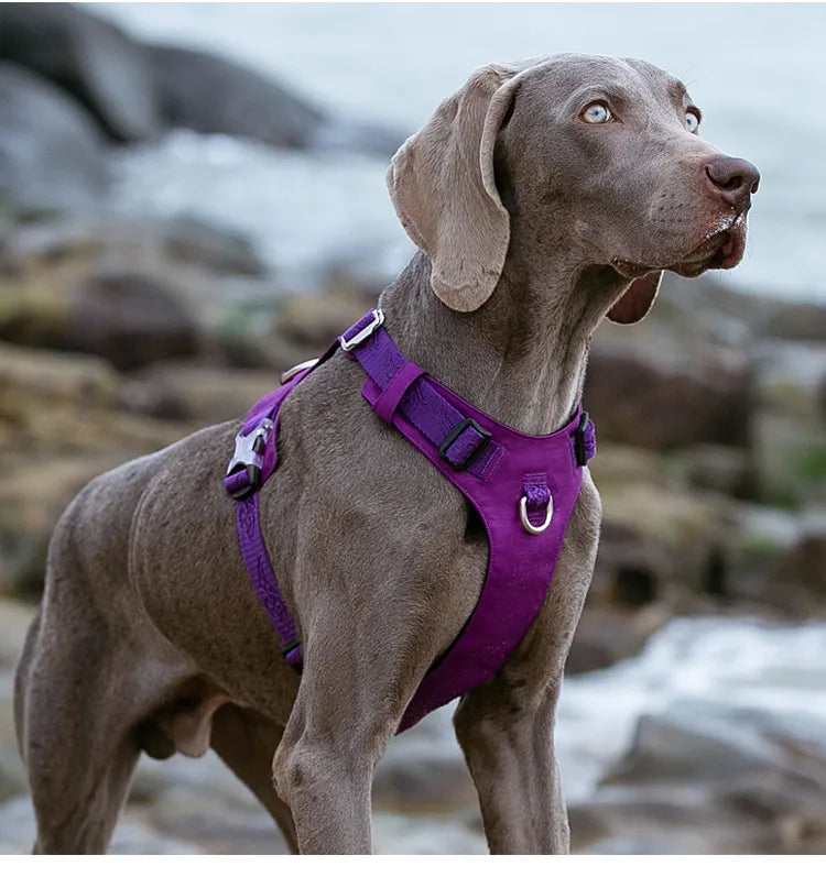 Verstellbares Outdoor-Haustiergeschirr für Hunde