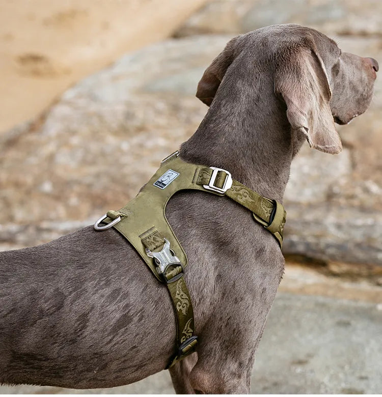 Verstellbares Outdoor-Haustiergeschirr für Hunde
