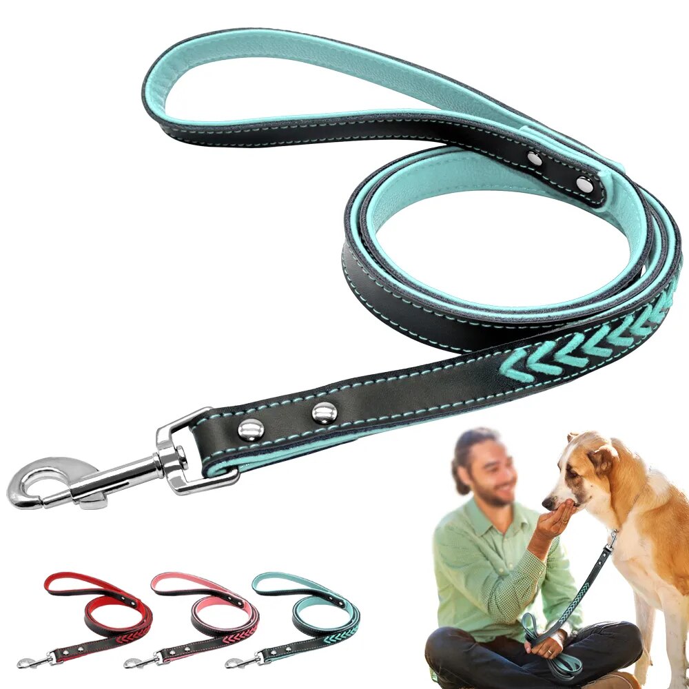 Engraved Leather Dog Collar Braided