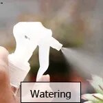 Anime-Miniaturen für Feengärten