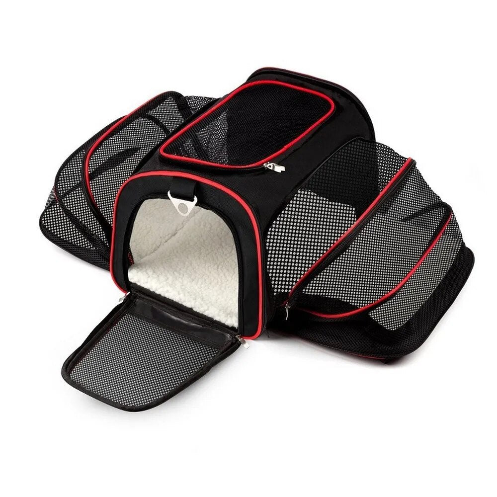 Perro Gato Viaje Llevar Equipaje