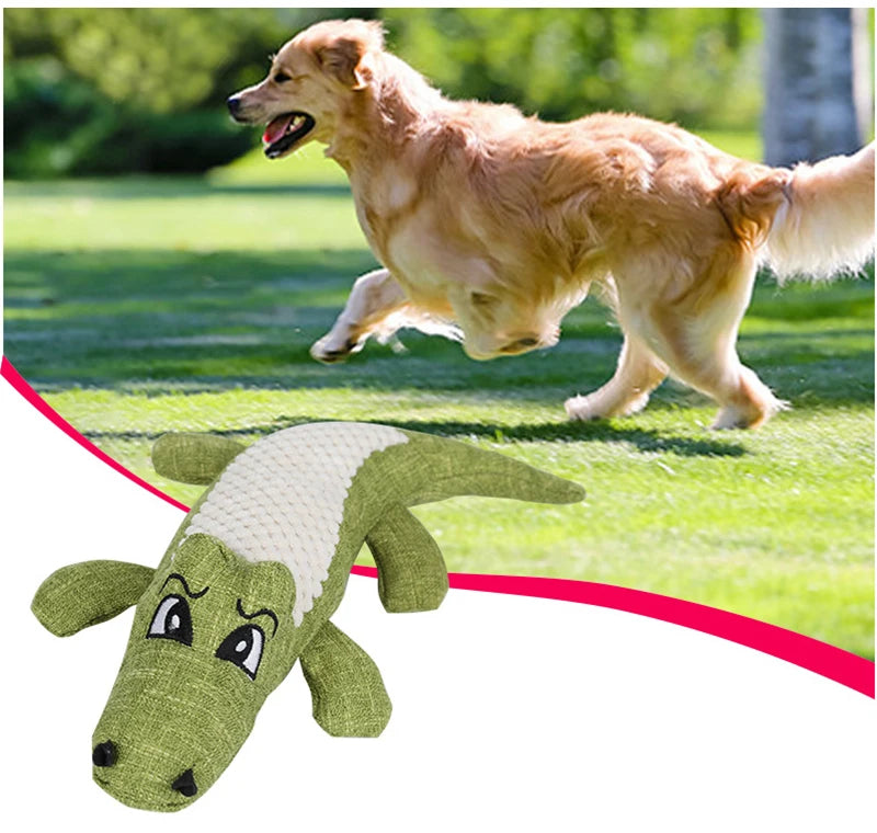 Pet Teeth Cleaning Chew Toy