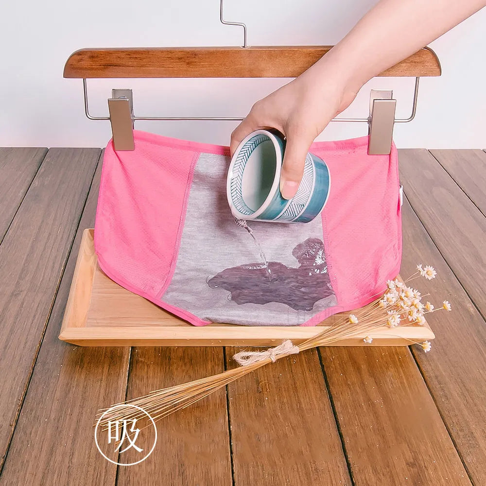 Proof Menstrual Underwear Pant