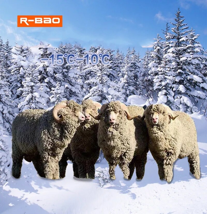 Winter Sports Merino Wool Thermal Socks