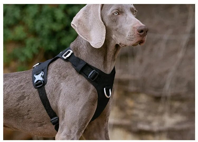 Verstellbares Outdoor-Haustiergeschirr für Hunde