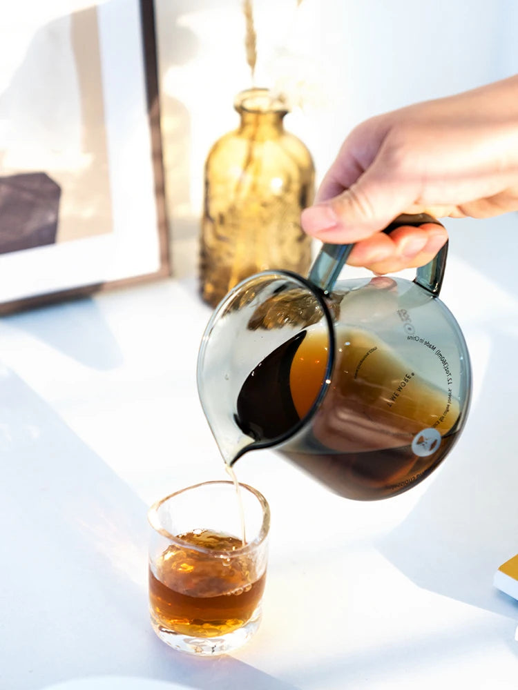 Glass Silicon Ring Coffee Tea Pot