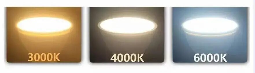 LED COB Spotlight